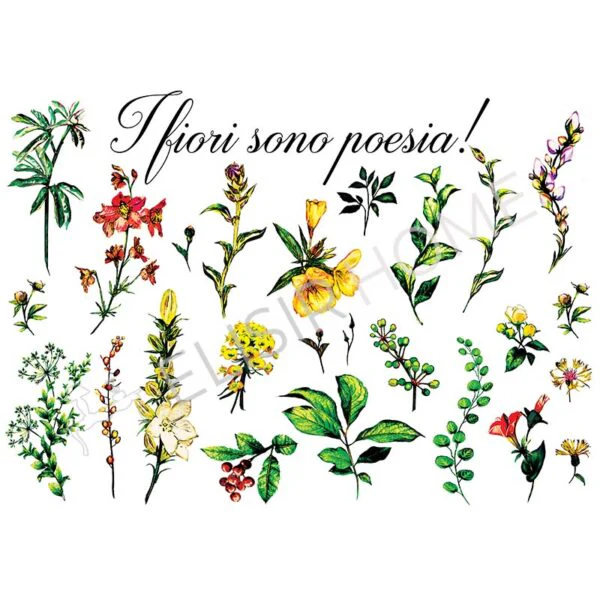 Immagine prodotto 2